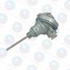 Can nhiệt PT100 Ren M27 kích thước D16 dài 650 CA1016 chuẩn, BH dài